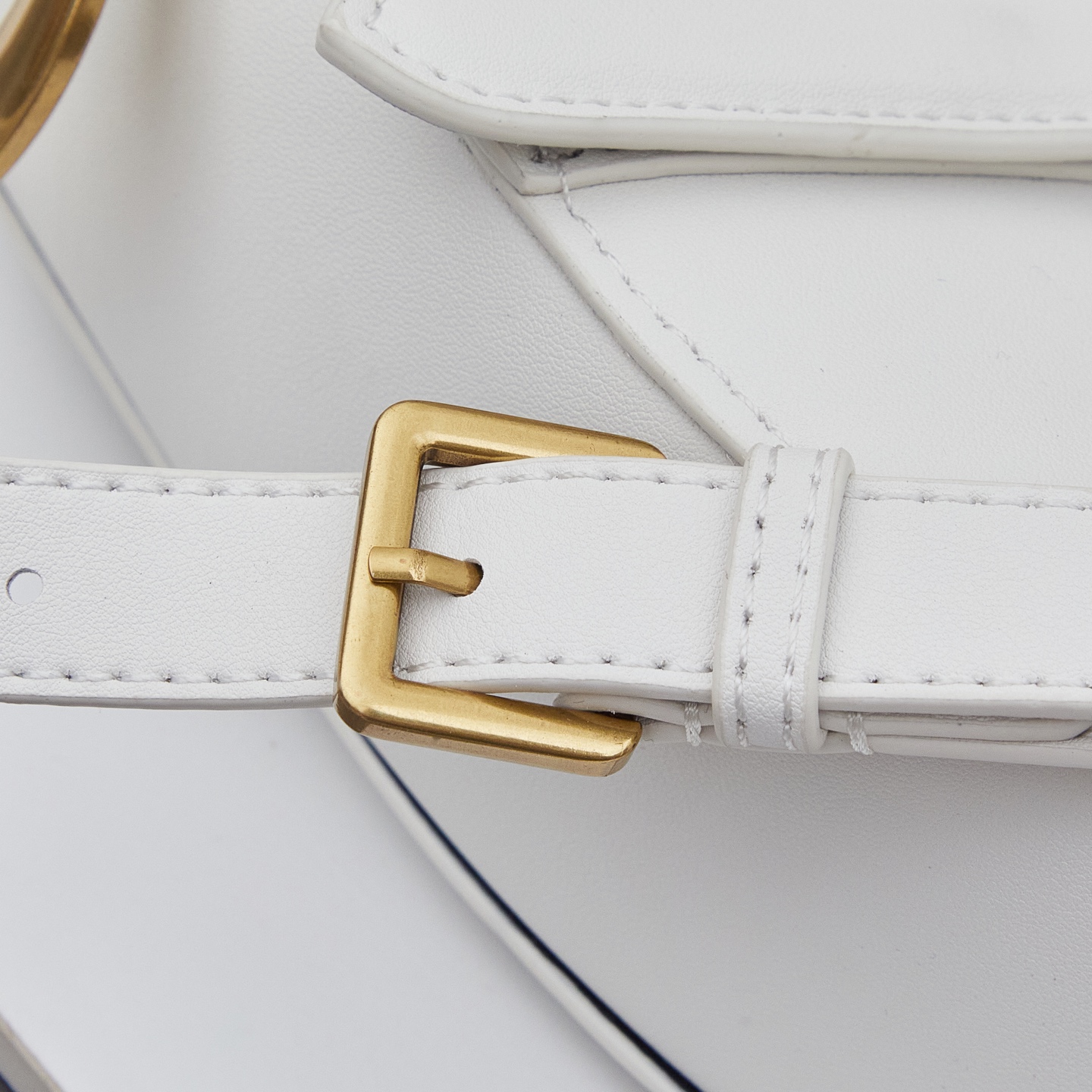 DIOR saddle bag - Image 4